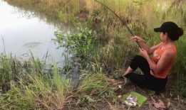 农村野钓视频,捕捉自然之美，享受宁静时光